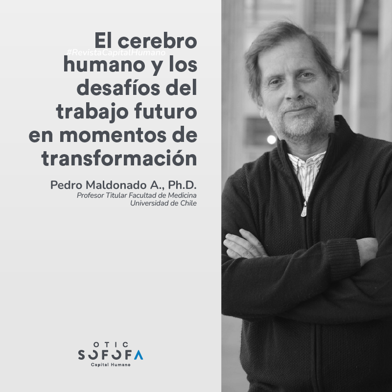 El cerebro humano y los desafíos del trabajo futuro en momentos de transformación￼