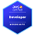 developer associate